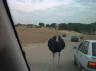 Wildpark 1