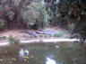 Wildpark 4