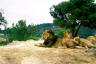 Wildpark 5