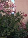 In der Anlage 1