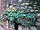 j_10_02_012.JPG