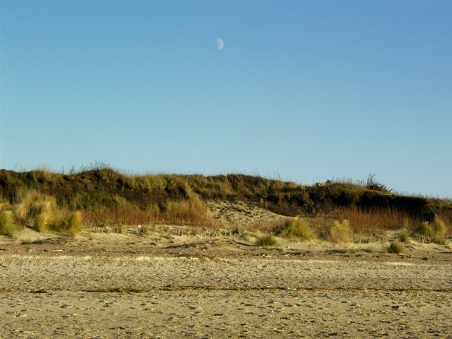 picture012.jpg