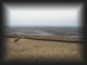 thumb001.png