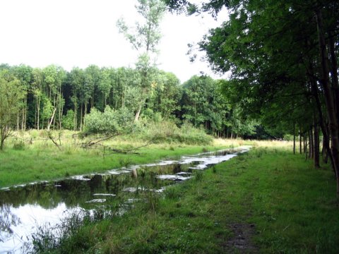 bild_cf2_136.jpg