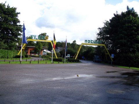 bild_cf2_147.jpg