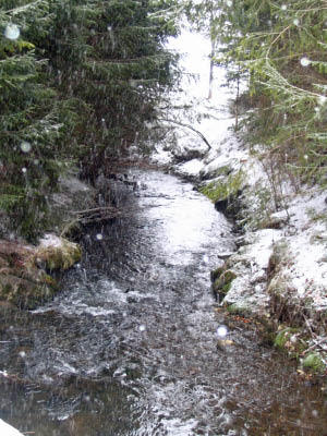 Urlaub Februar 2006 Bild 023