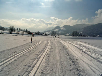 Urlaub Februar 2006 Bild 050