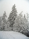 Urlaub Februar 2006 Bild 029