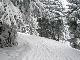 Urlaub Februar 2006 Bild 033